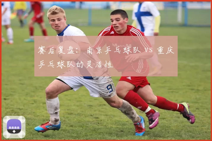 赛后复盘：南京乒乓球队 vs 重庆乒乓球队的灵活性