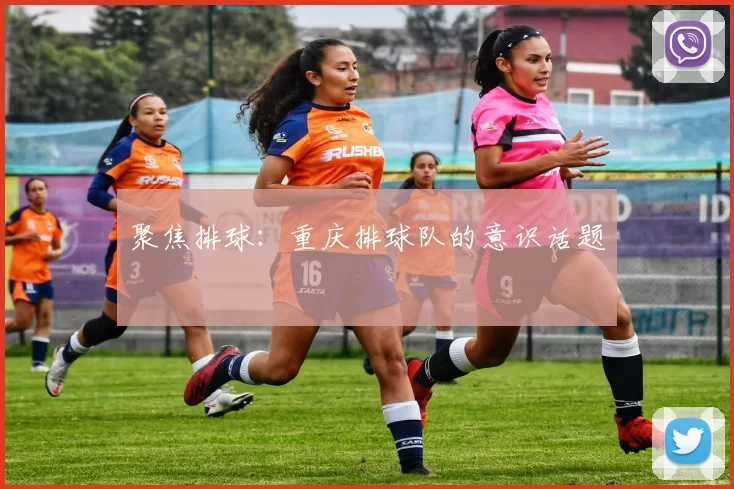 聚焦排球：重庆排球队的意识话题