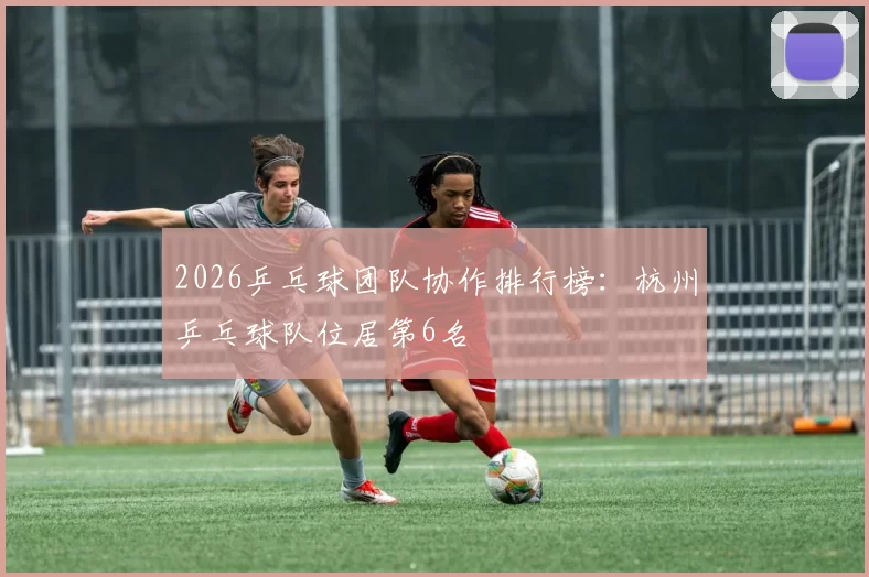 2026乒乓球团队协作排行榜：杭州乒乓球队位居第6名